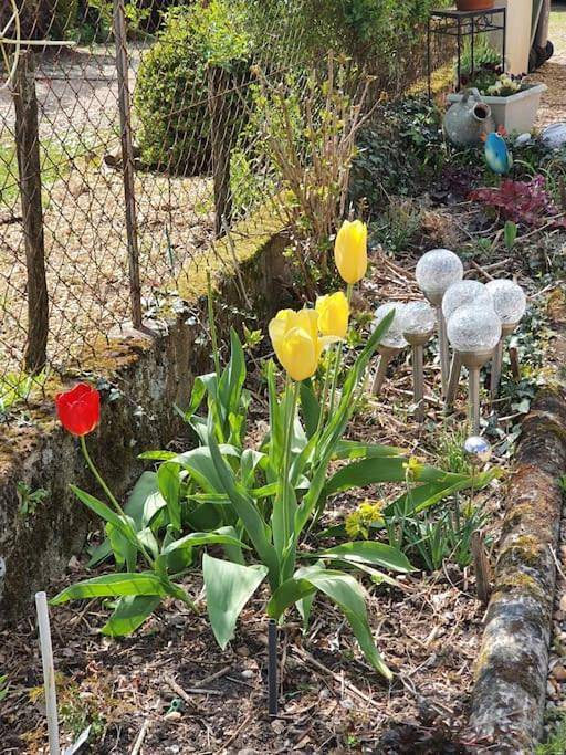 Location de vacances pour 4 personnes, avec jardin et vue à Mennetou-sur-Cher - 3