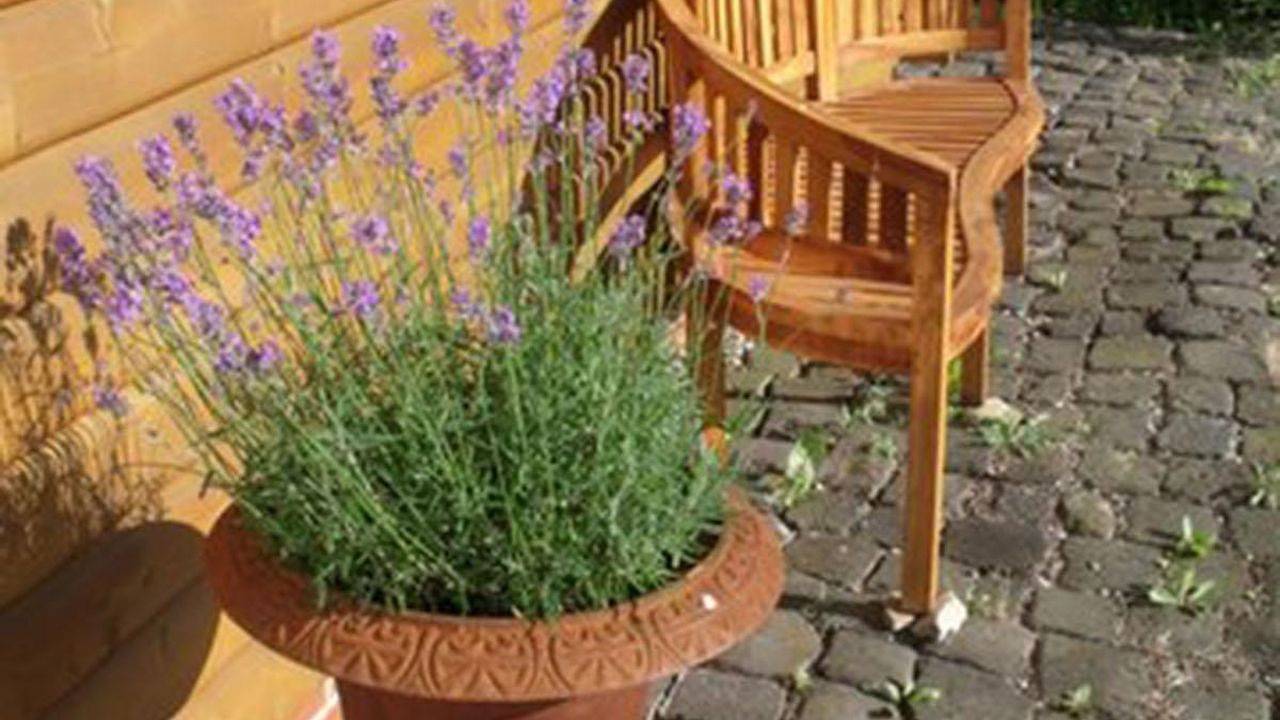 Ferienhaus für 4 Personen (112 m²) in Grenderich in Grenderich, Cochem-Zell