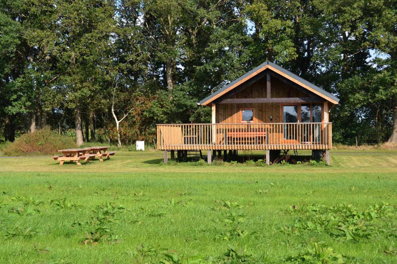Cozy 12 person group accommodation near Ruinerwold | Drenthe in Ruinerwold, Drenthe