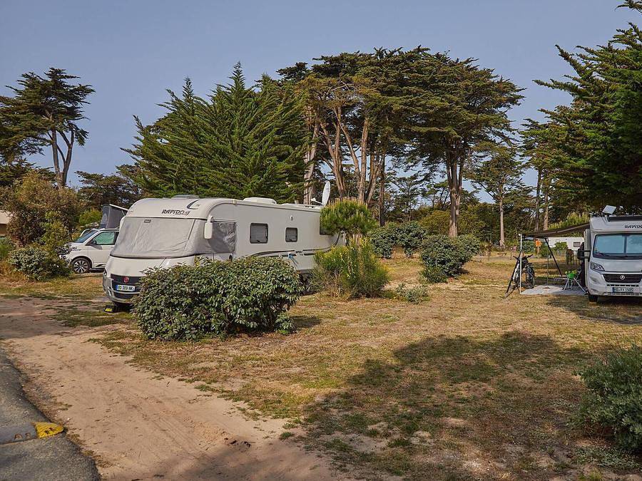 Camping Homair La Côte Sauvage - Lodge 5 personnes - Tente Eco Lodge | 2 Ch. | 4/5 Pers. | Sans Sdb in Saint-Clément-des-Baleines, Île de Ré