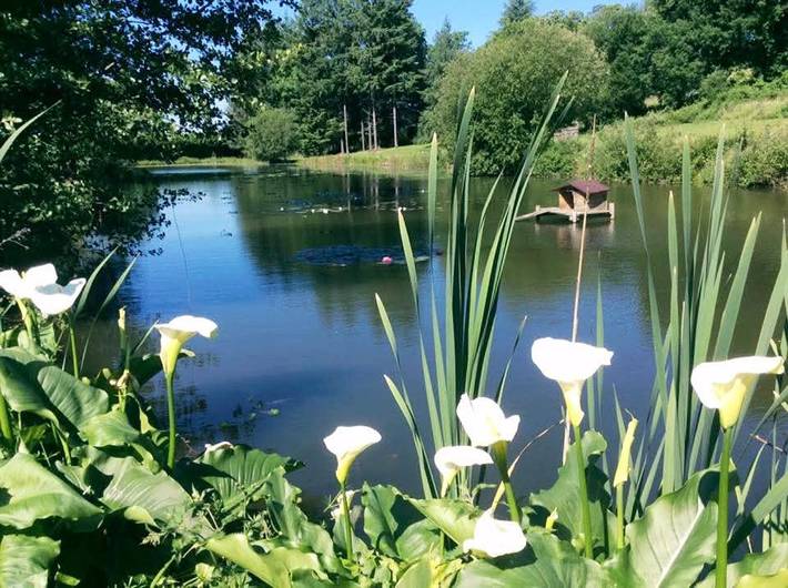Location de vacances pour 4 personnes, avec vue et jardin ainsi que piscine et terrasse, animaux acceptés à Augignac