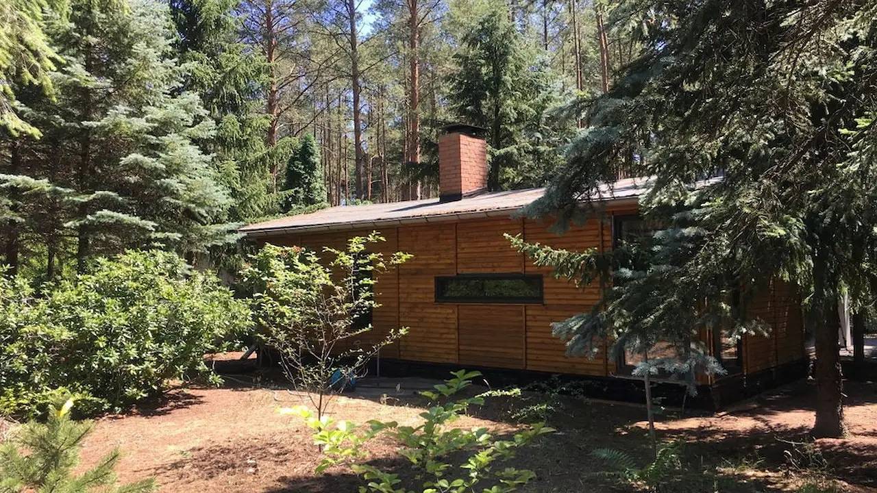 Bungalow für 2 Personen (40 m²) in Borkwalde in Borkwalde, Mittelmark
