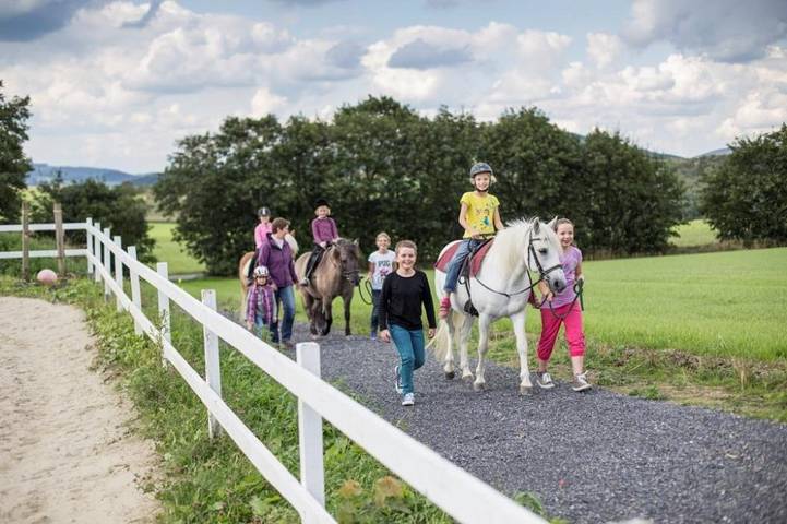 Bauernhof für 6 Personen, mit Garten und Sauna sowie Pool in Schmallenberg - 4