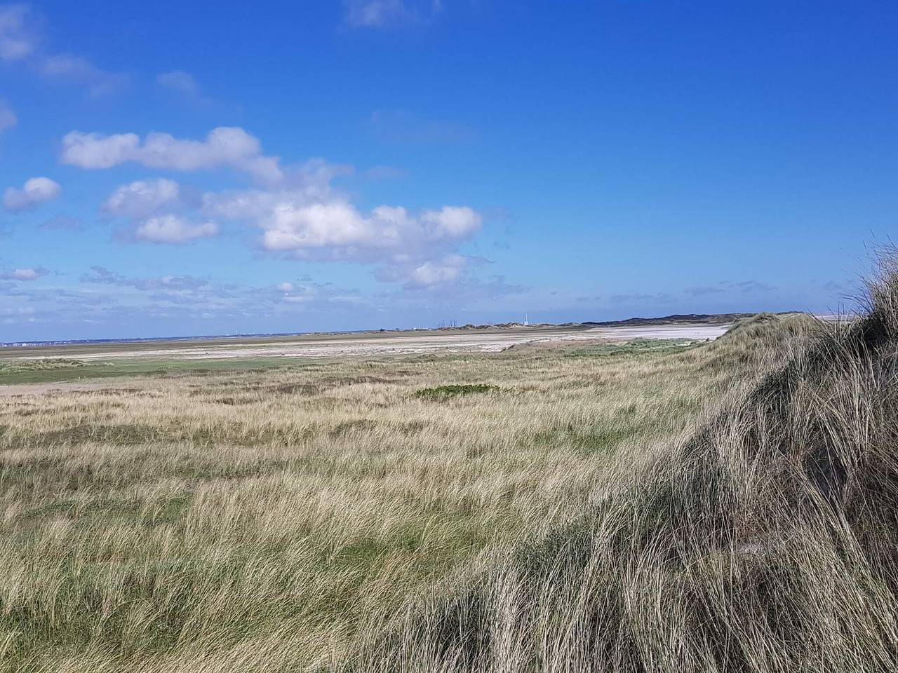 8 Personen Ferienhaus in Blåvand in Ho, Varde