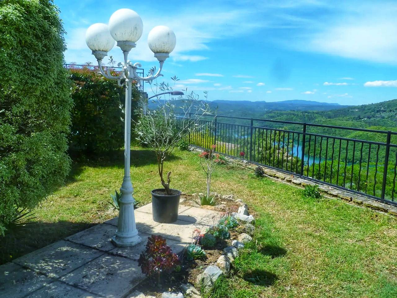 Les mûriers in Tanneron, Côte méditerranéenne (France)