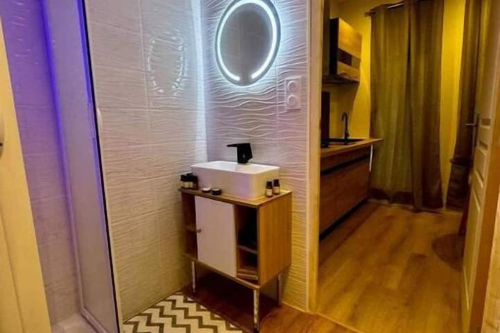 Gîte pour 3 personnes, avec terrasse ainsi que sauna et jardin à Meyzieu - 4