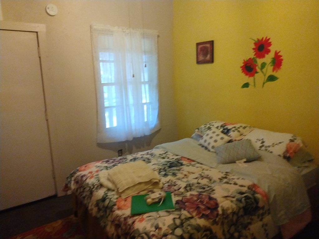 Sunflower Room with quiet deck in Canton, Van Zandt County