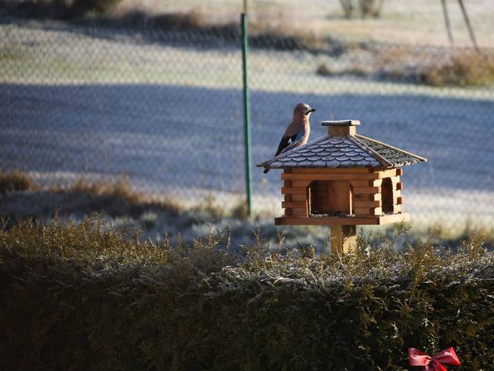 Ferienwohnung für 2 Personen, mit Terrasse und Garten, mit Haustier in Bad Sachsa - 4