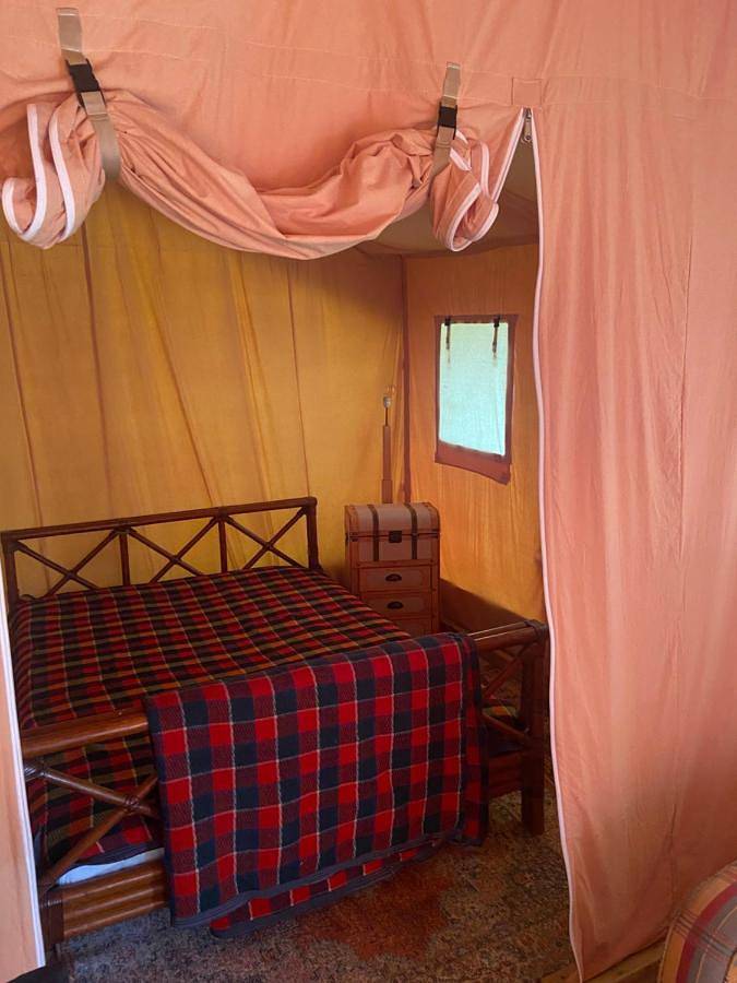 Tente pour 4 personnes, avec jardin et vue, animaux acceptés dans le Puy-de-Dôme - 2