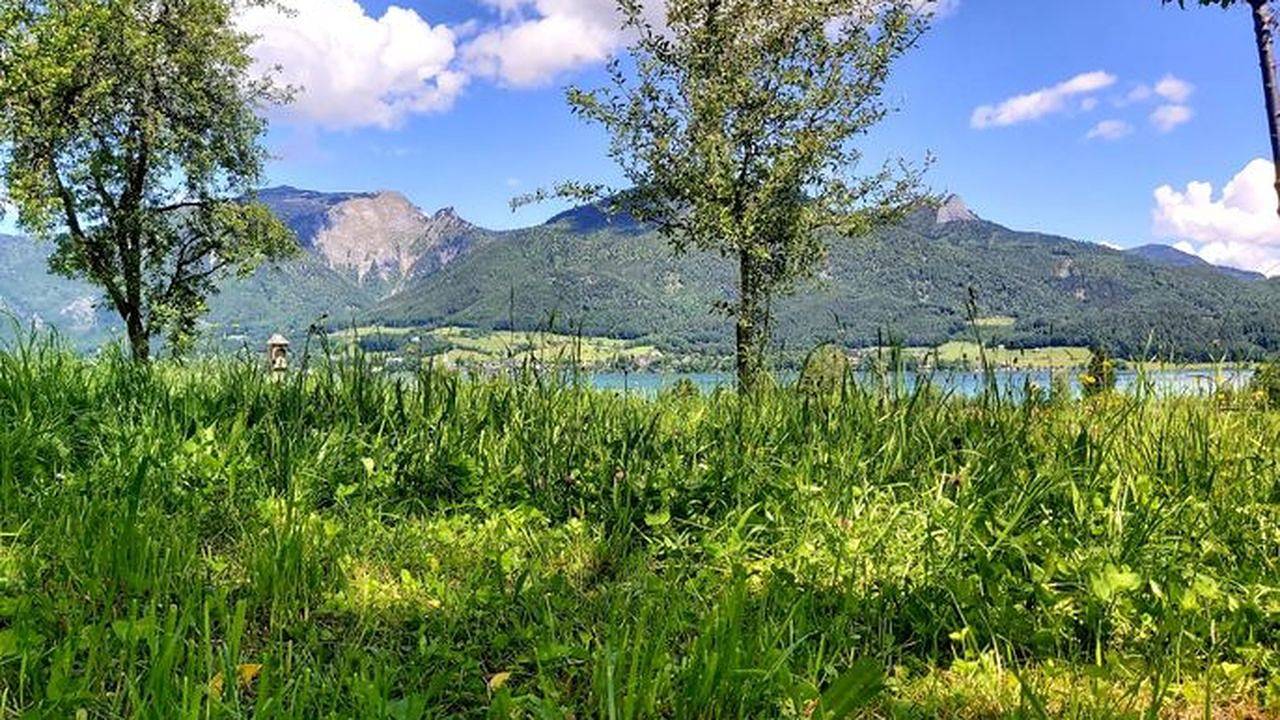 Ganze Ferienwohnung, Ferienwohnung für 4 Personen (50 m²) in Strobl in Strobl, Salzkammergut