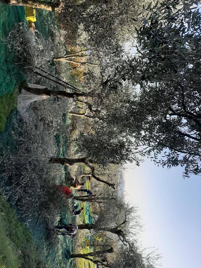 Appartamento intero, Agriturismo Conte Brunello in Salò, Prealpi Gardesane