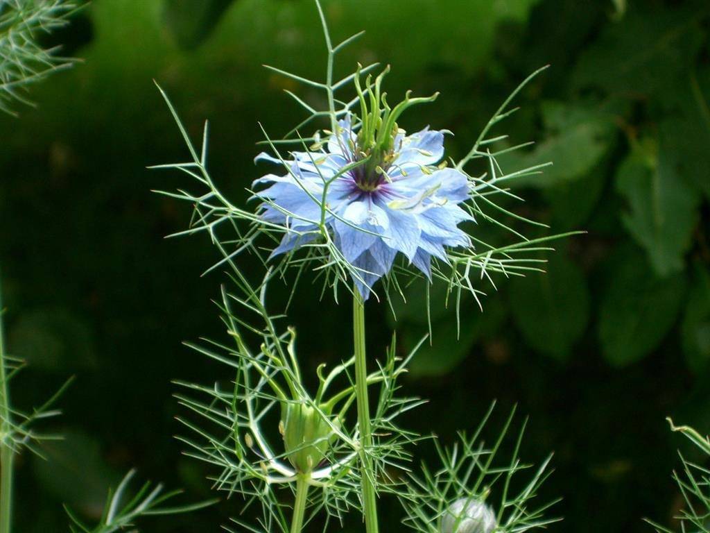 Ganze Ferienwohnung, Appartement Nr. 2 in Neustift, Neustift im Stubaital