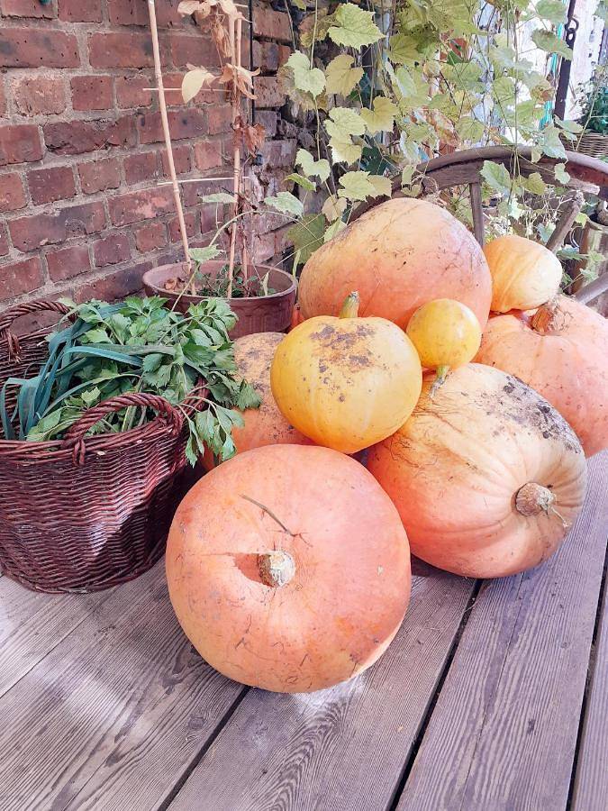 Ferienhaus für 12 Personen, mit Garten und Ausblick in Niederschlesien - 2