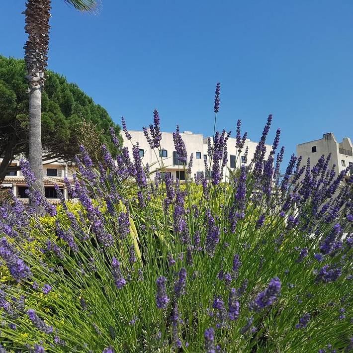 Ferienwohnung für 2 Personen, mit Terrasse und Pool sowie Ausblick in Cogolin - 3