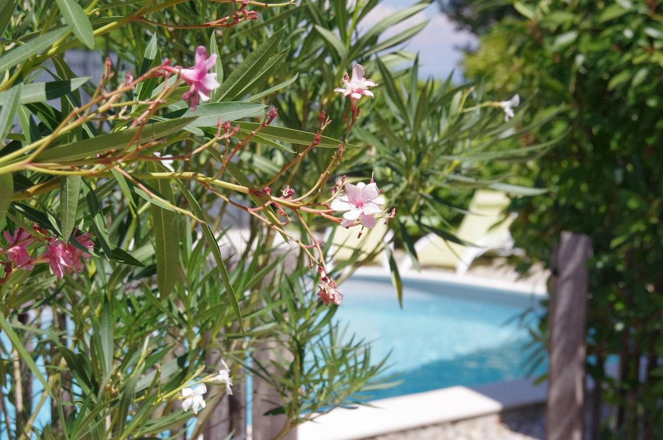 Ferienhaus 'Le Grand Cèdre - Süd-Ardèche' in Bourg-Saint-Andéol, Privas