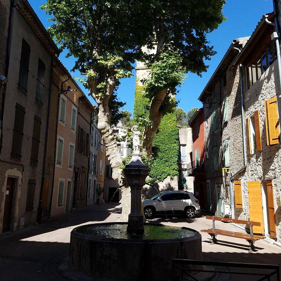 Double Room with Private Bathroom in La Roquebrussanne, Région de Brignoles