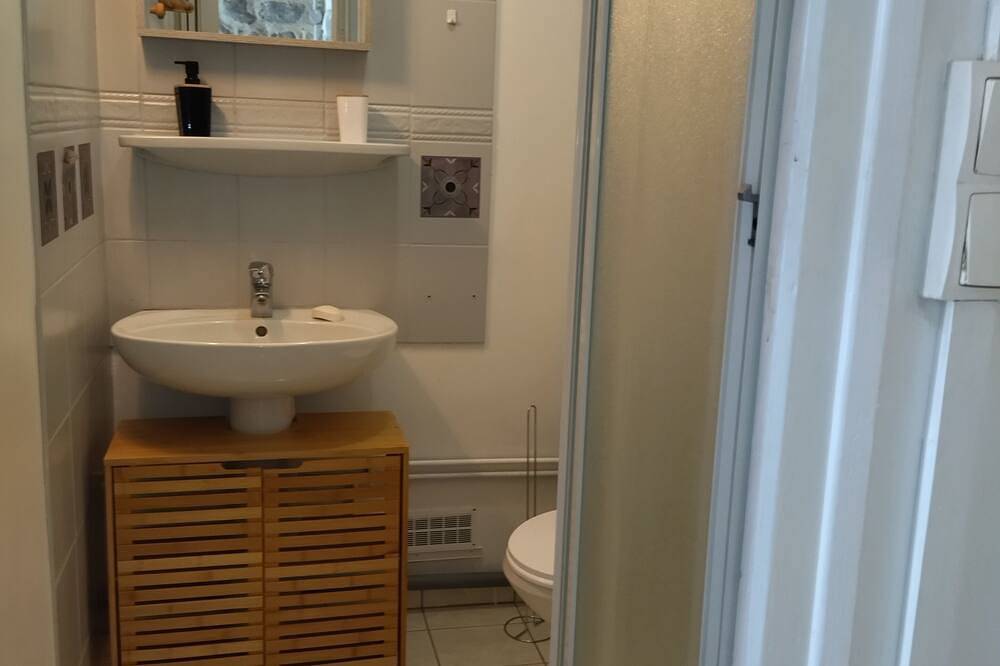 Entire apartment, Studio with balcony - view of esplanade-centre ville in Gap, Gap region