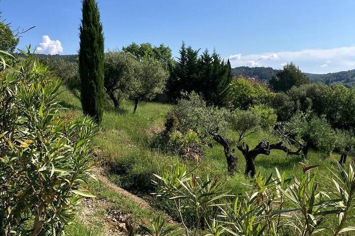 Charming country house in the Provencal countryside among vineyards and olive trees in Cotignac, Brignoles region