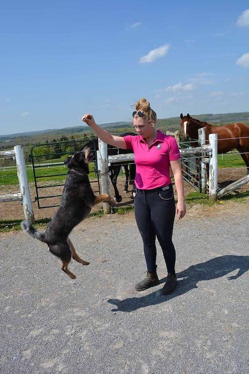 Maison d’hôte pour 16 personnes, avec jardin dans Canada - 2