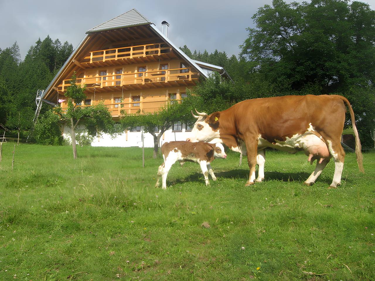 Sigmundenhof - Ferienwohnung Heubühne, 50 qm, 1 Schlafzimmer, 1 Wohnschlafzimmer, max. 4 Personen in Schonach im Schwarzwald, Südschwarzwald