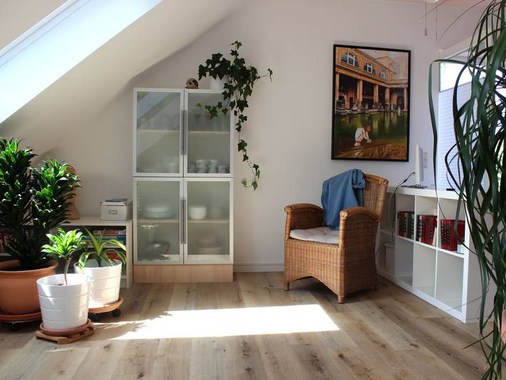 Ferienwohnung für 4 Personen, mit Balkon, mit Haustier in Bad Dürrheim - 3