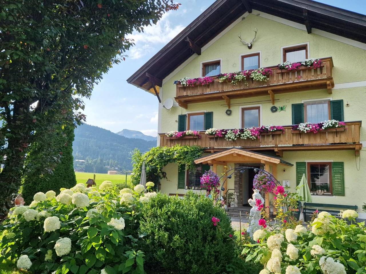 Ganze Ferienwohnung, Appartement comfort zur Wiese Nr.4 in Achenkirch, Brandenberger Alpen