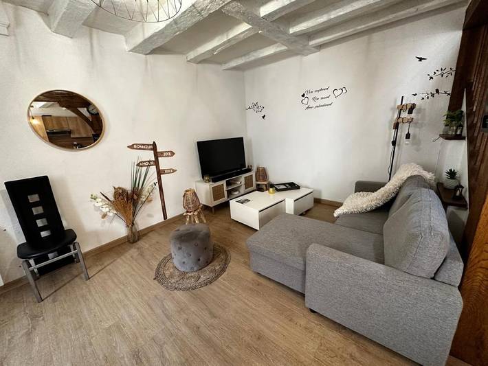 Location de vacances pour 10 personnes, animaux acceptés à Azay-le-Rideau - 3