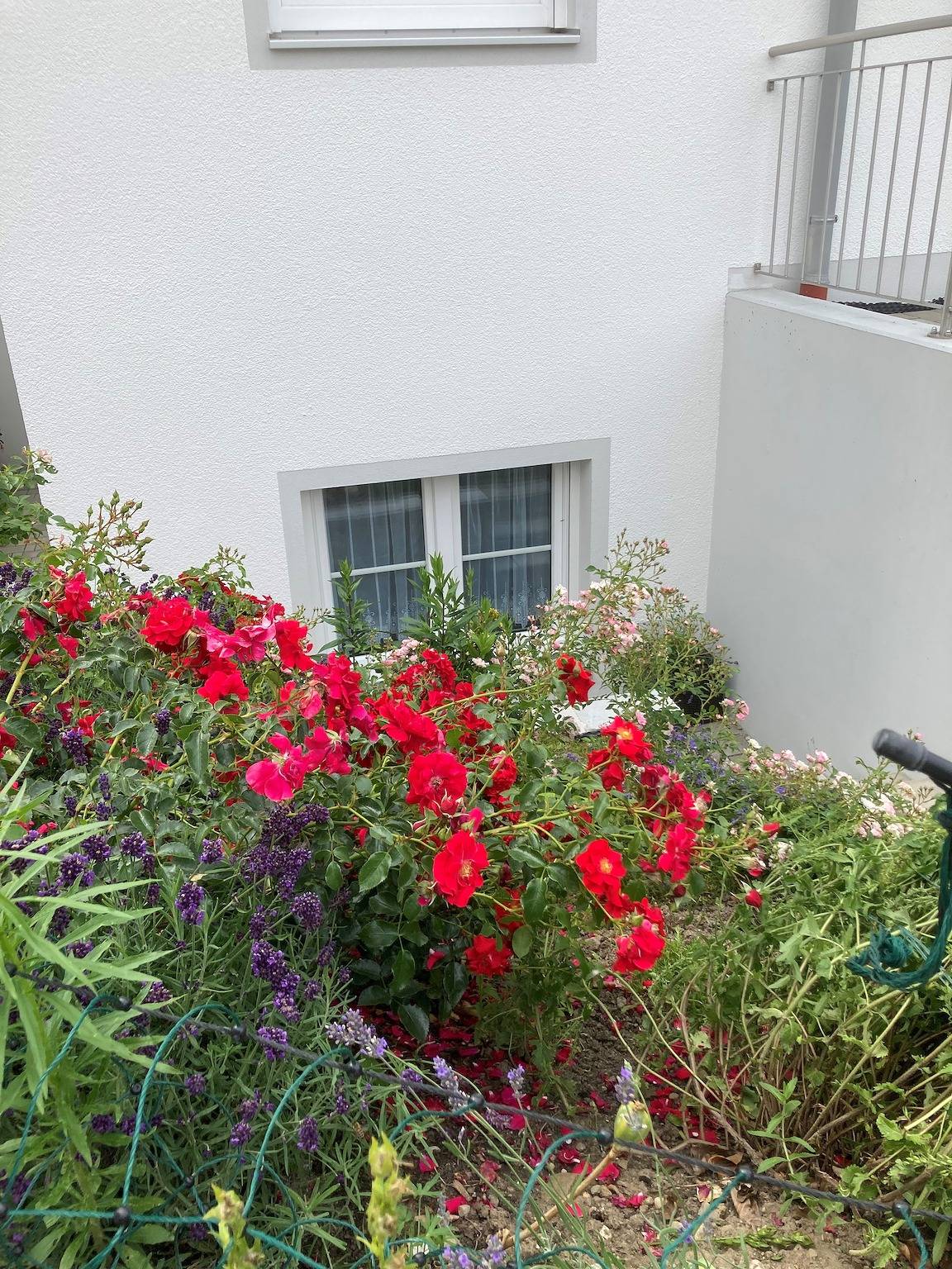 Ganze Ferienwohnung, Ferienwohnungen Christoph - Apartment Wendelstein, für 3 Personen, 45 qm in Pfaffing, Landkreis Rosenheim