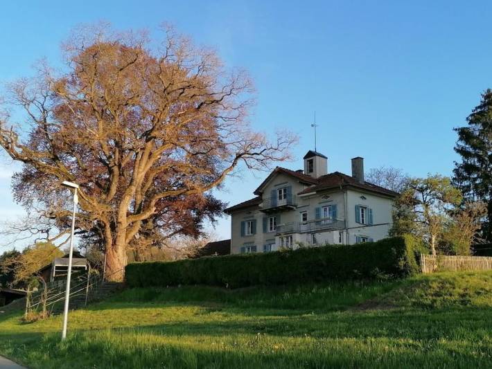 Ferienwohnung für 2 Personen, mit Terrasse und Garten sowie Seeblick im Thurgau