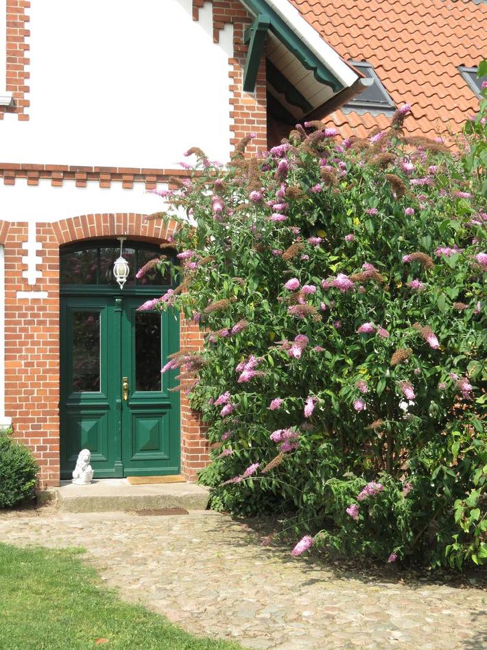 Ferienhaus für 23 Personen, mit Pool und Garten sowie Terrasse in Amt Neuhaus - 4