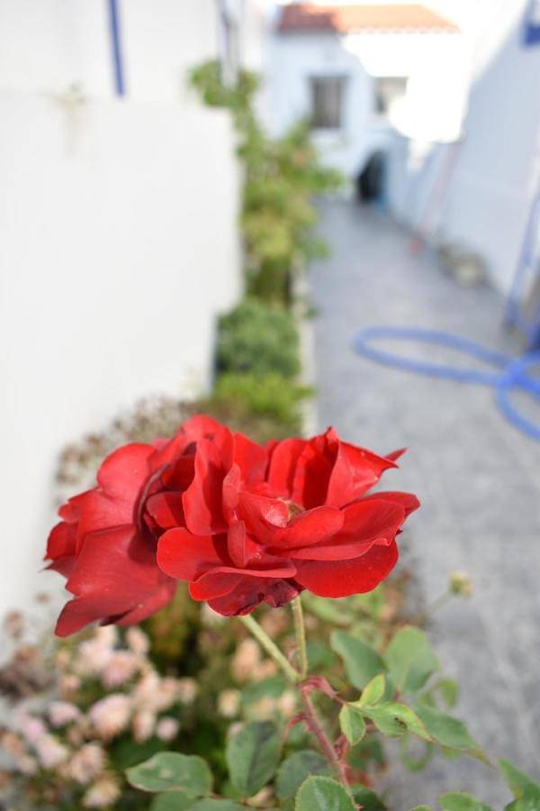 Location de vacances pour 4 personnes, avec piscine ainsi que balcon et vue à Évora - 3
