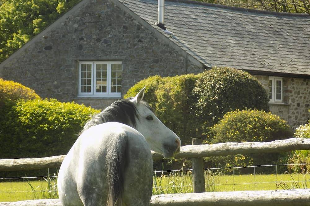 Casa vacanza a Devon a partire da 155€ a notte