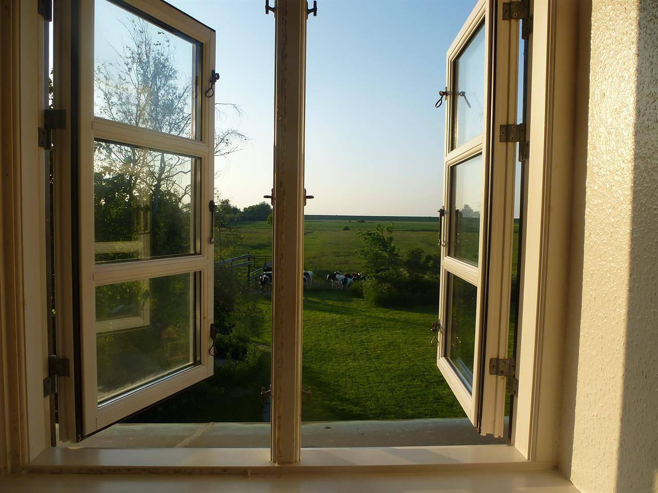 Ganze Ferienwohnung, Ferienwohnung 2 - Schäfchenwohnung in Tümlauer Koog, Eiderstedt