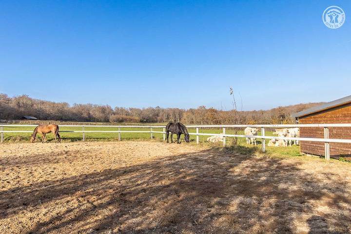 Gîte für 12 Personen, mit Garten in Burgund - 4