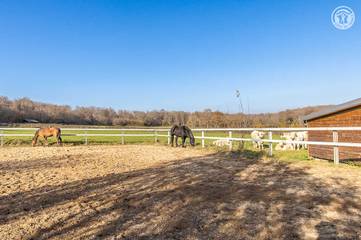 Gîte pour 12 Personnes dans La Motte-Saint-Jean, Région de Charolles, Photo 3