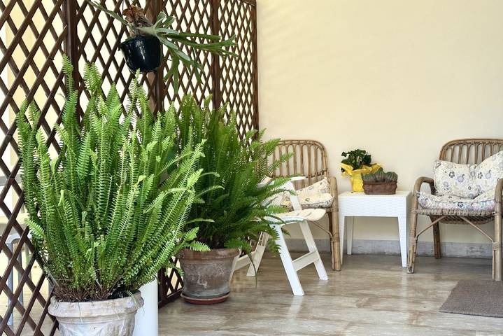 Ferienwohnung für 8 Personen, mit Balkon/Terrasse, mit Haustier - 1