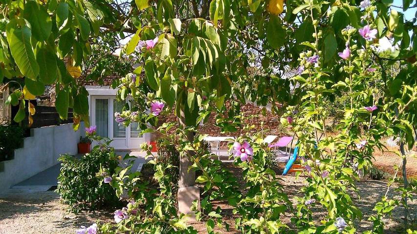 Location de vacances pour 4 personnes, avec terrasse et jardin à Gonfaron - 2