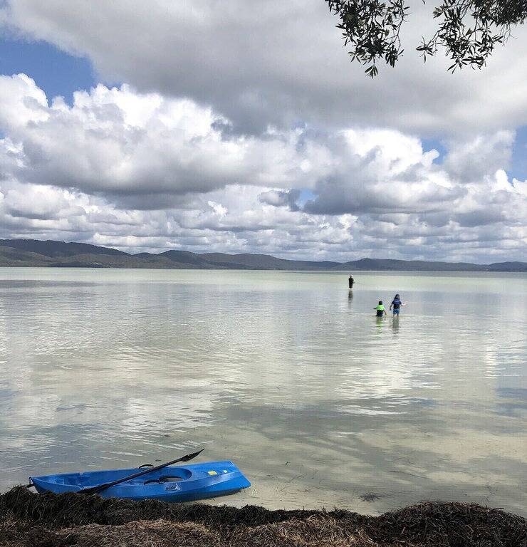 Forster holiday home, linen included-Wifi- pets welcome-cafes,beach, golf, fish in Forster, New South Wales