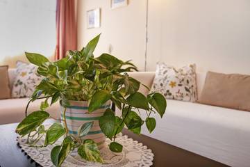 Resort per 5 Persone in Candelaria, Tenerife Sud, Foto 2