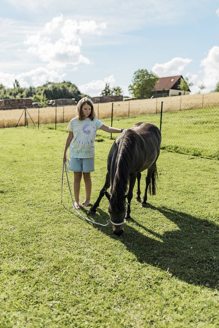 Bauernhof für 3 Personen, mit Terrasse und Garten sowie Sauna, mit Haustier im Altmühltal - 4