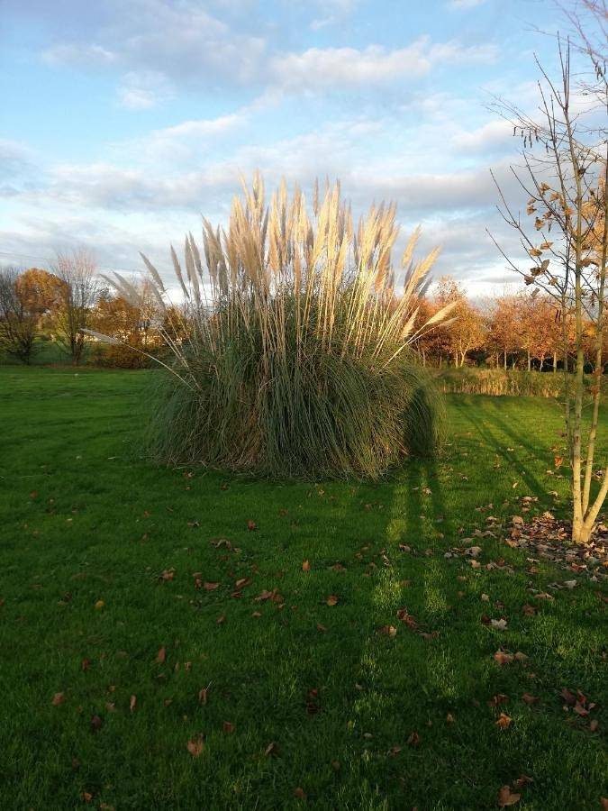 La haye Georget in Feneu, Région d'Angers