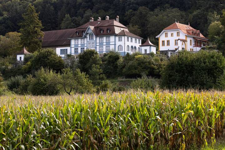 Ferienwohnung für 2 Personen, mit Garten im Drei-Seen-Land