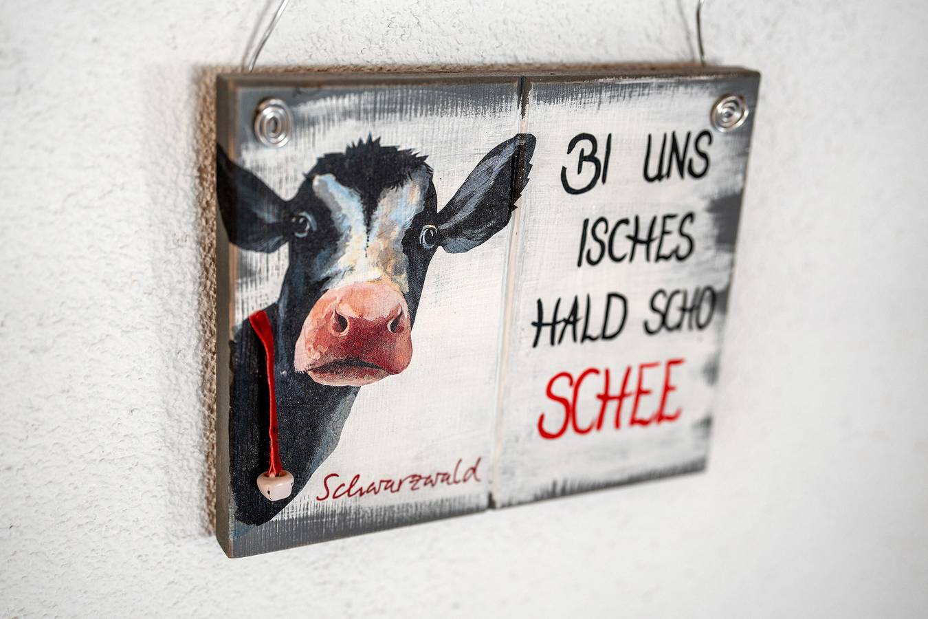Ganze Wohnung, Ferienwohnung Sternenhimmel, 48qm" mit Bergblick, gemeinsamer Terrasse und Wlan in Zell am Harmersbach, Mittlerer Schwarzwald