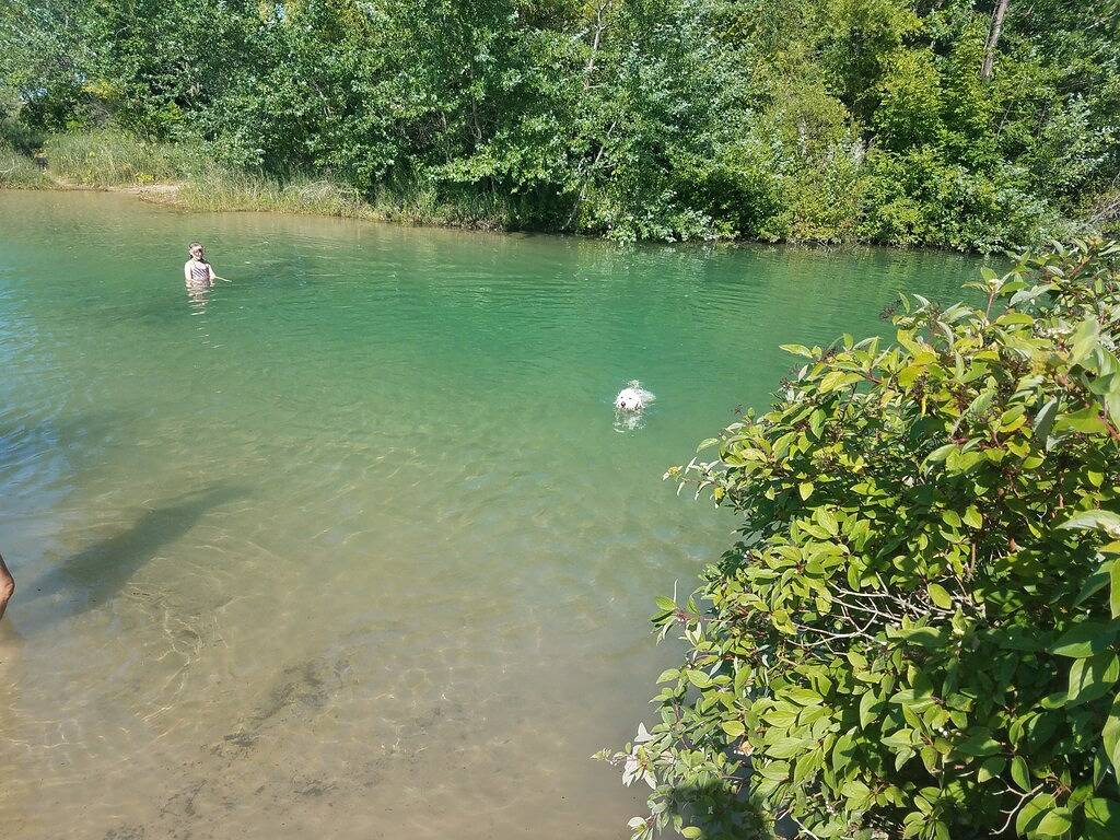 Chalet im Shanty Creek Resort - Buchen Sie jetzt für Herbstferien! in Antrim County
