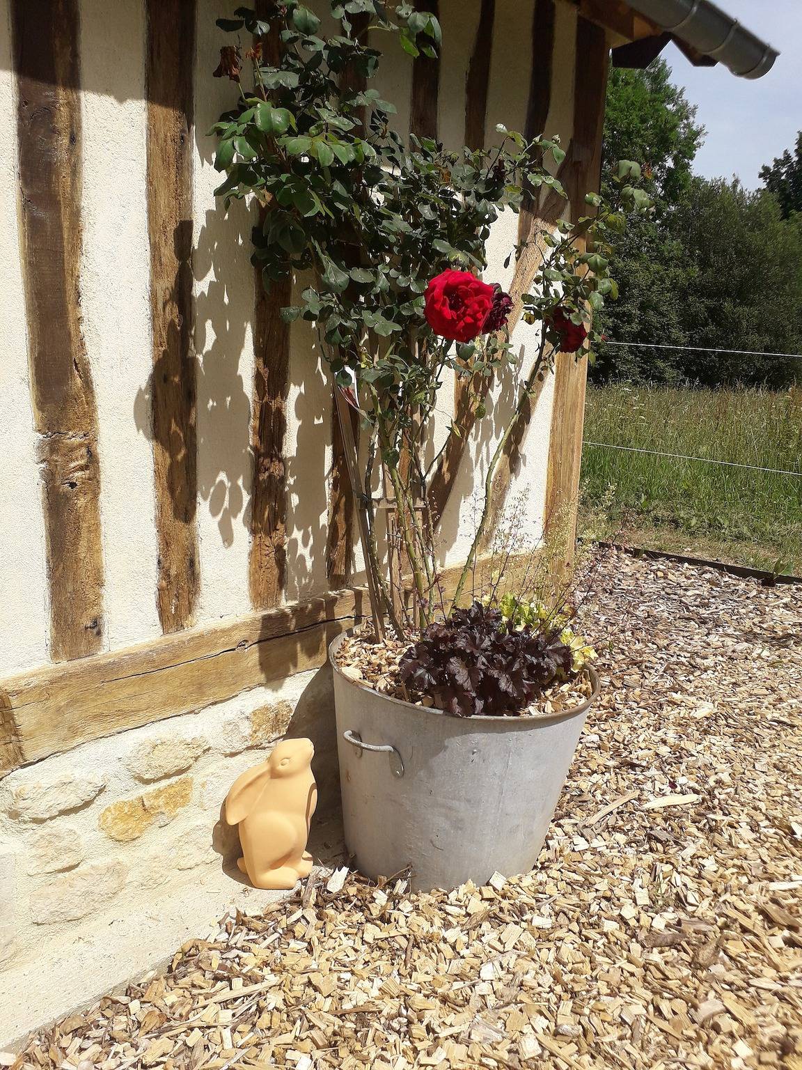 Cottage 'Le Chouette Insolite' met privé tuin & Nordic Bath, foto 6