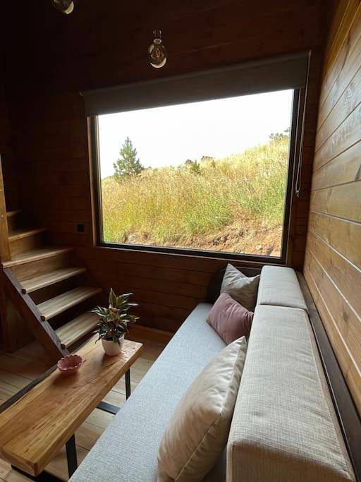 Mountain Eco Shelter 4 in Monte (Madeira), Madeira