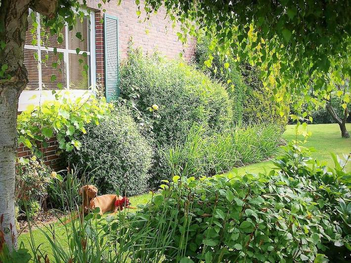 Ferienhaus für 2 Personen, mit Terrasse und Garten in Horumersiel - 4