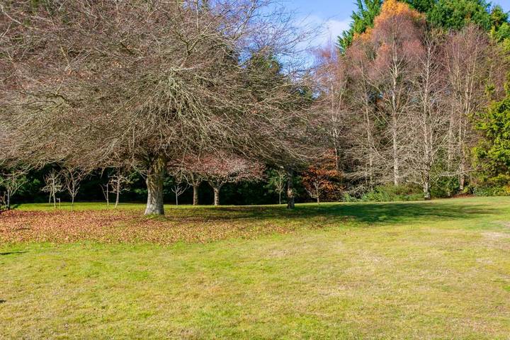 Chambre d’hôte pour 2 personnes, avec jardin et vue, adapté aux familles à Taupo - 3