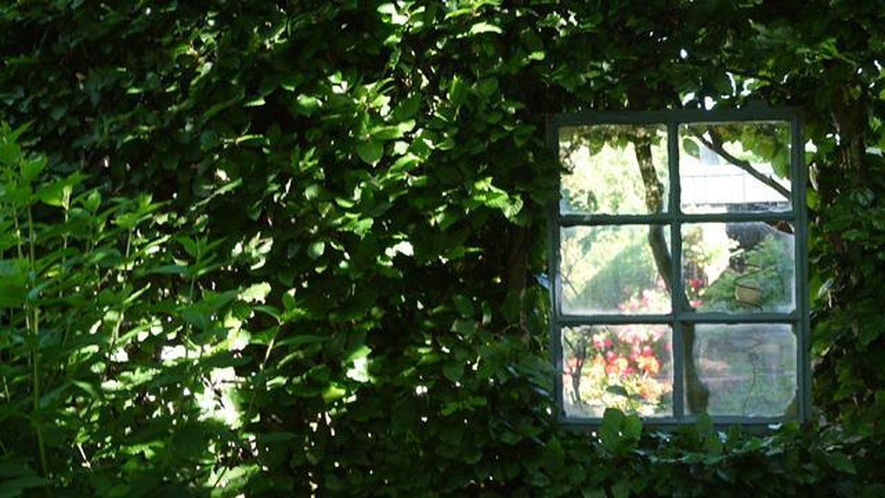 Ganze Ferienwohnung, Ferienwohnung für 2 Personen (32 m²) in Bad Zwischenahn in Bad Zwischenahn, Ammerland