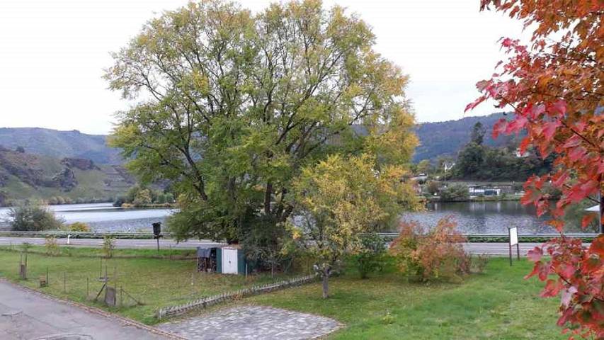 Ferienhaus für 4 Personen, mit Garten in Mosel-Saar - 2